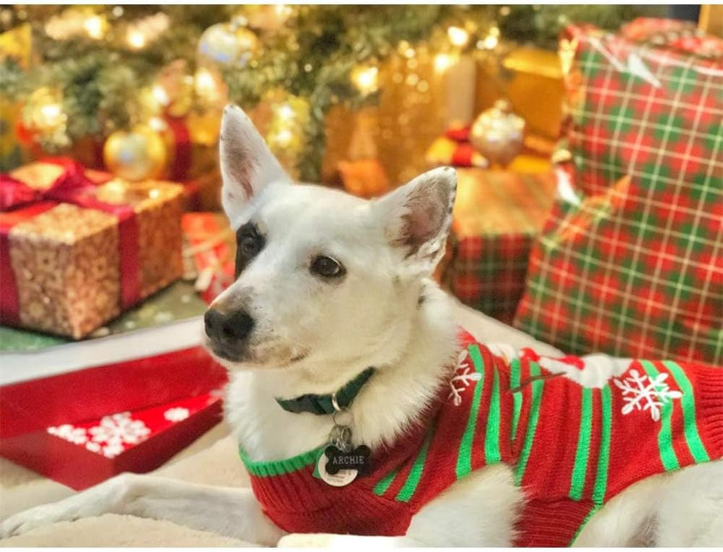 Dog Snow Sweater - Snowman Holiday Pet Clothes for Small Dogs and Cats - Christmas Xmas New Year (Snowman, M)