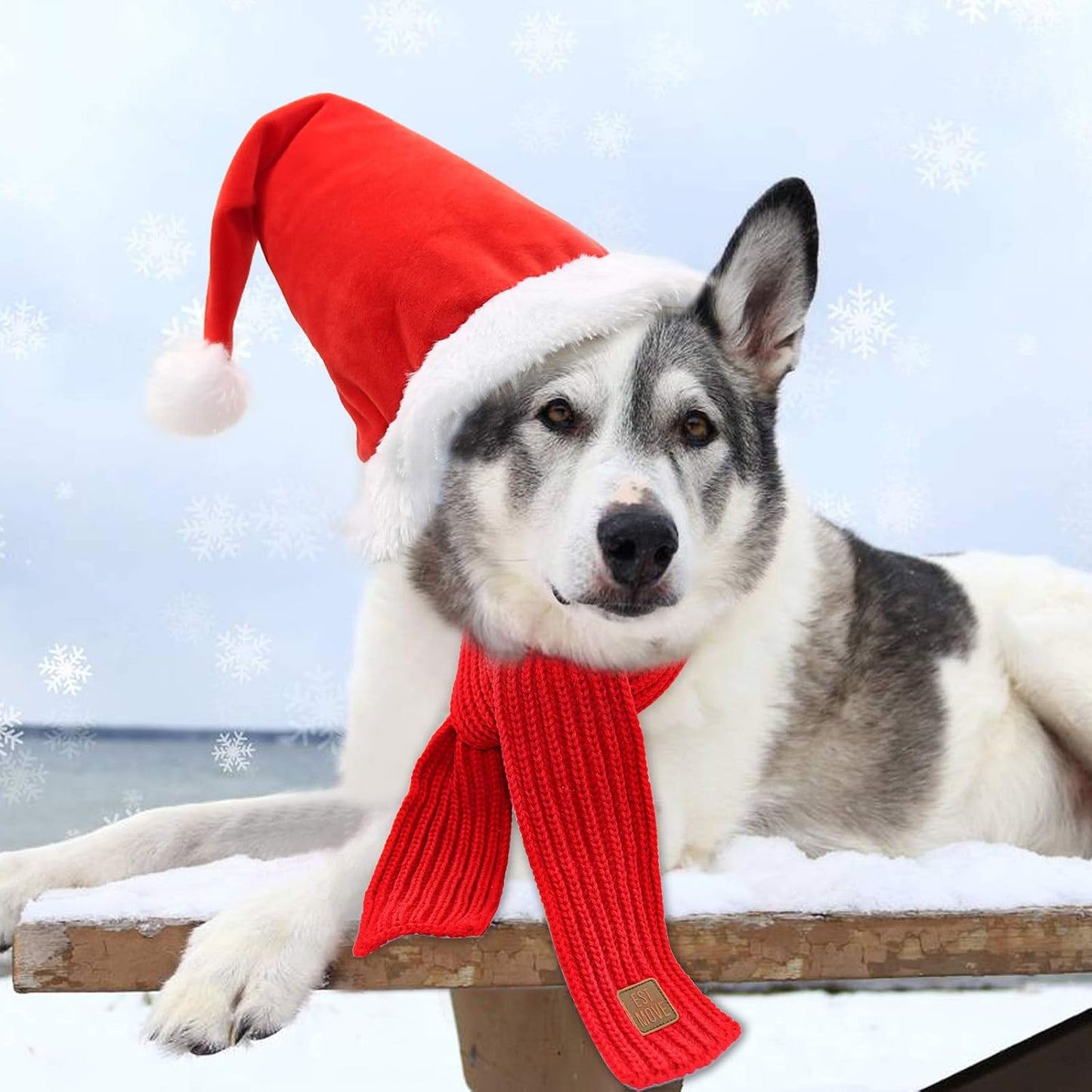 Dog Santa Hat and Scarf, Christmas Dog Costumes for Small Dogs & Cats